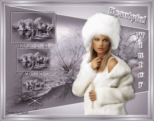 KOBIETA 5 - show-beauty winter.gif