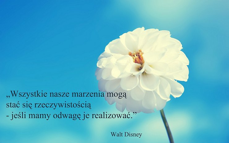 AAA-Nowości - Walt Disney 1.jpg