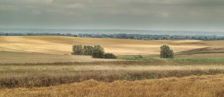 pola,łąki - z6821.jpg