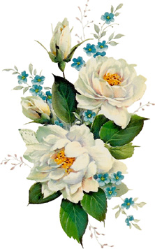 Malowanki kwiaty - bialerose kopia2.jpg