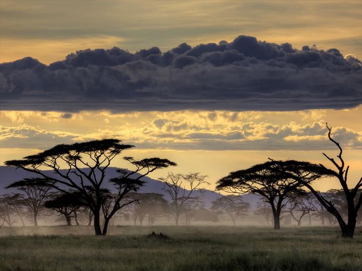 ALBUM NATIONAL GEOGRAPHIC - serengeti-sunset-tanzania_29424_990x742.jpg