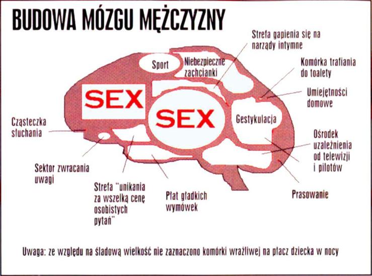 śmieszne zdjęcia - MOZG_FACETA.JPG