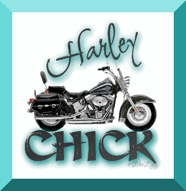 Harley Davidson - harley13.gif