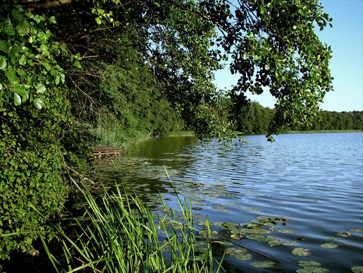 Jezioro w Lubrzy - 8.jpg