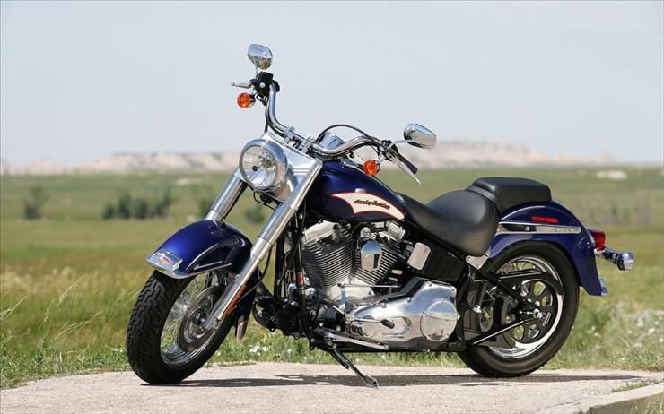 Harley Davidson - Harley 38.jpg