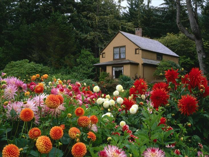 ogród działka - Garden House and Dahlias, Shore Acres State Park, Oregon.jpg