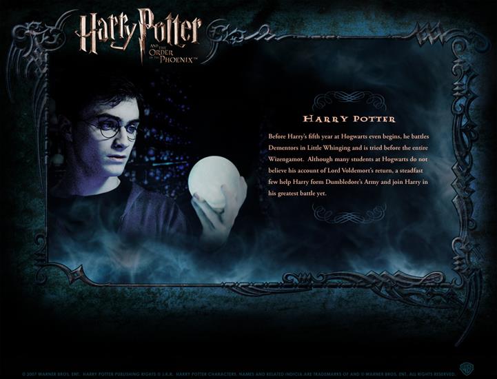 Character Profile - Character-Profile-harry-potter-130055_1050_800.jpg