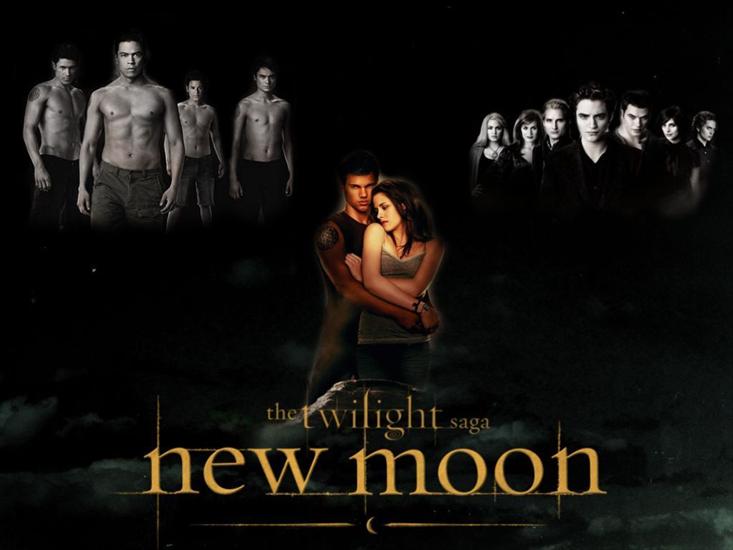 New Moon - Twilight-saga-twilight-series-7883830-1024-768.jpg