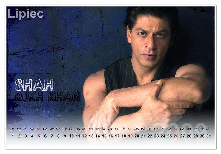 Shah Rukh Khan - Lipiec.jpg