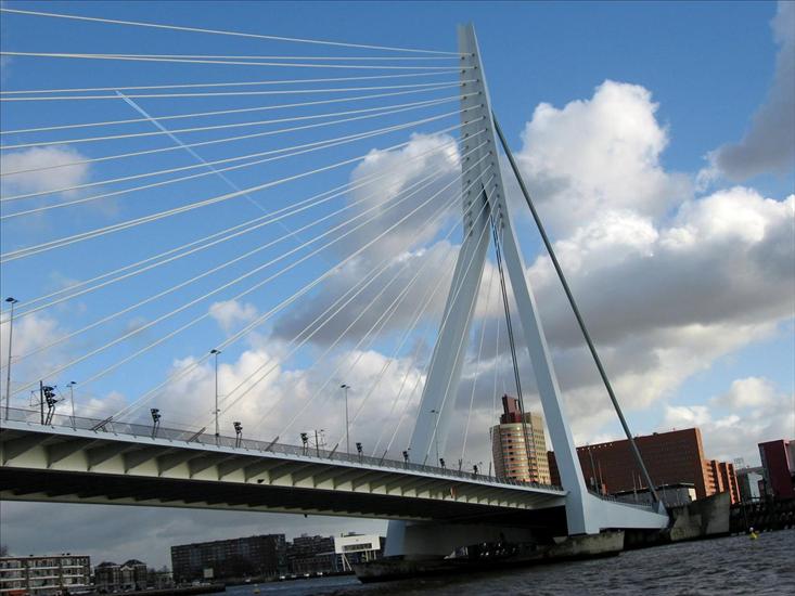 Holandia - Rotterdam-the-netherlands-4380144-2560-1920.jpg