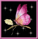 Melodynka - gif-butterfly-colors.gif