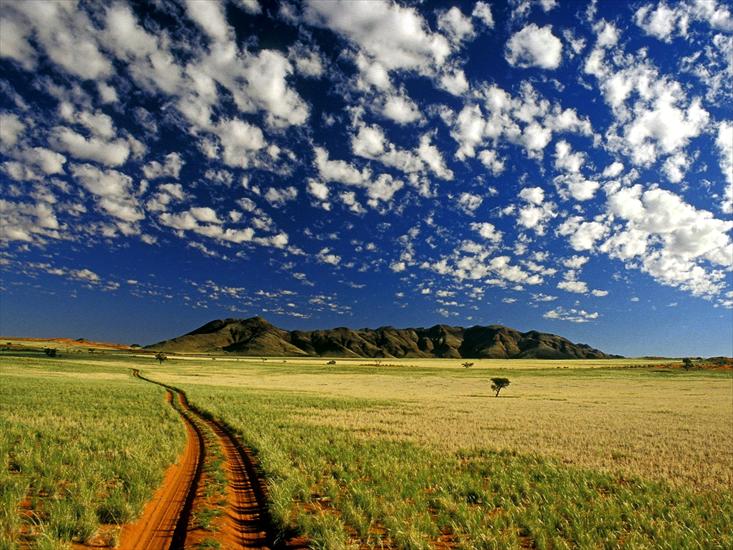 Namibia - p_Tok_Tokkie__NamibRand_Reserve__Namib_Desert__Namibia_ezg_1.jpg