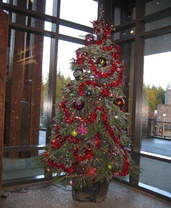 Rózne choinki świąteczne - 1000x500px-LL-living Christmas tree.jpg