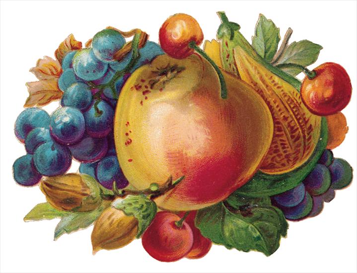   Fruits and Flowers ze starych pocztówek - 305.TIF
