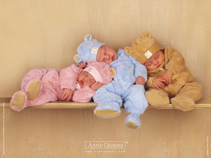 ZDJĘCIA  ANNE GEDDES - AnneGeddes_Wallpaper75.jpg