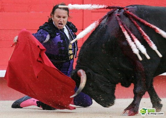 Pogromcy byków - spain-spanish-bullfighting-matadors-04-560x396.jpg