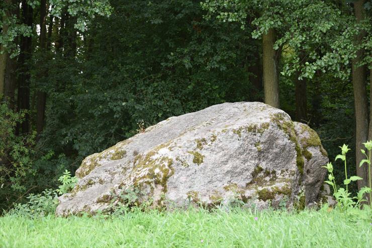 2020.08.04 - Trzebiel - Diabelski Kamień - Głaz Krabata - 003.JPG
