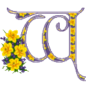 Alfabety z Bukietem kwiatów - 020 - W.gif