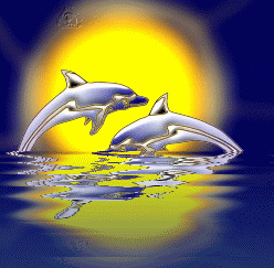 Delfiny i Orki - Lektion.gif