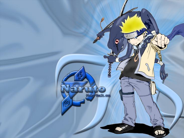 Naruto - Naruto040.jpg