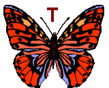 Motyle - butterfly-t-letter.gif