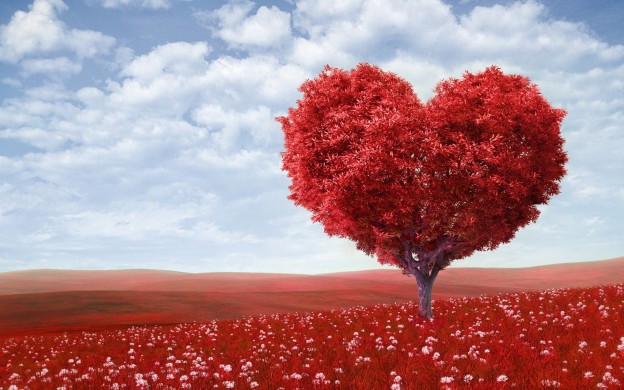 wpisy - red-love-tree-wallpaper1-624x390.jpg