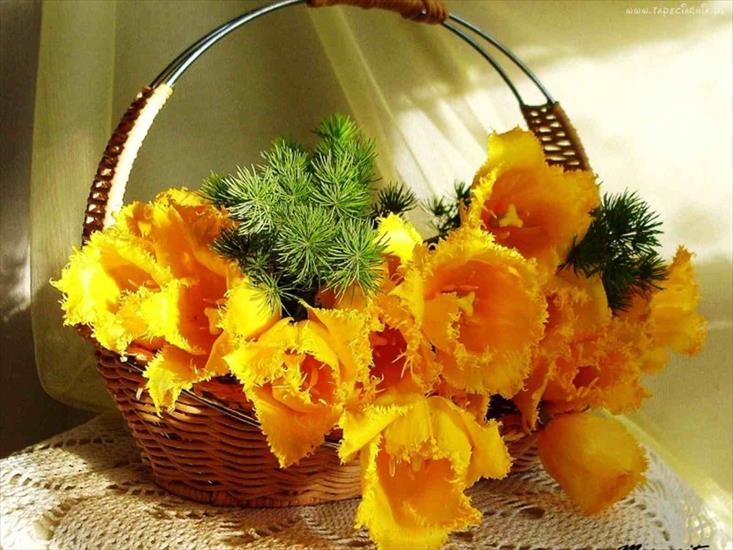 Galeria bukietów kwiatowych - Kosz żółtych tulipanów.jpg