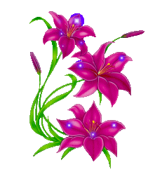 Kwiaty Chomisia52 1 - flower0251.gif