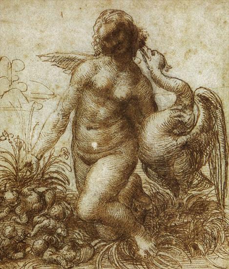 Szkice Leonarda da Vinci - leda2.jpg