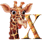 Alfabet z Żyrafą - 002 - X.gif