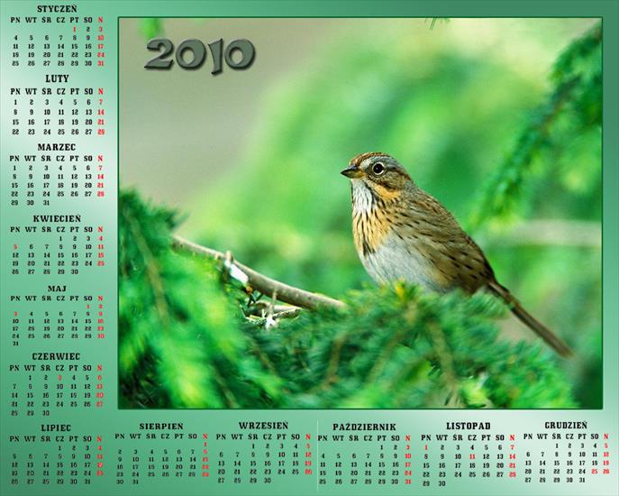Kalendarze z ptakami - Bez nazwy 22.jpg