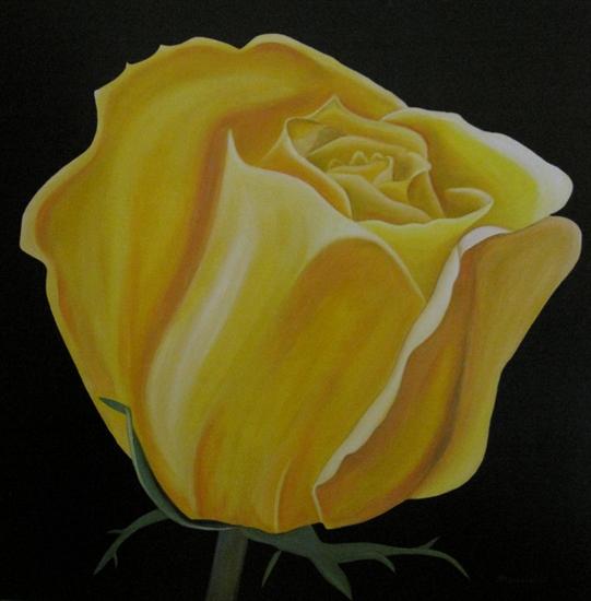 Róże żółte - Lever_du_soleil.jpg
